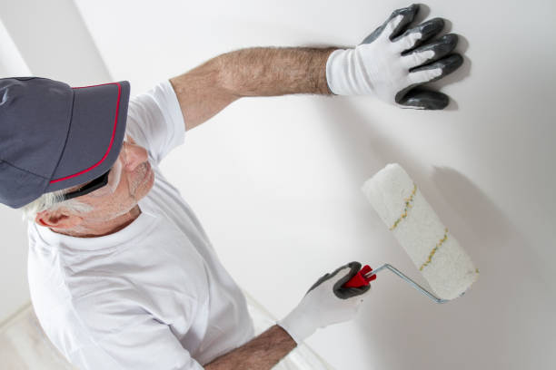 Best Real Estate Mold Inspection  in Spencer, WI