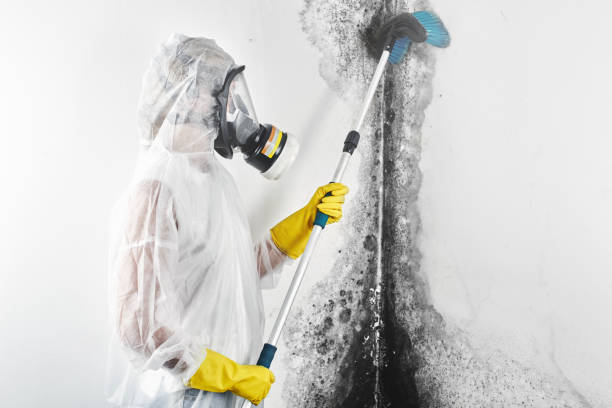 Best Air Quality Testing for Mold Spores  in Spencer, WI