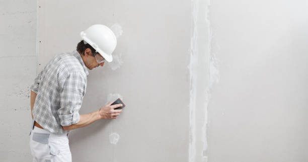 Forensic Mold Investigation in Spencer, WI