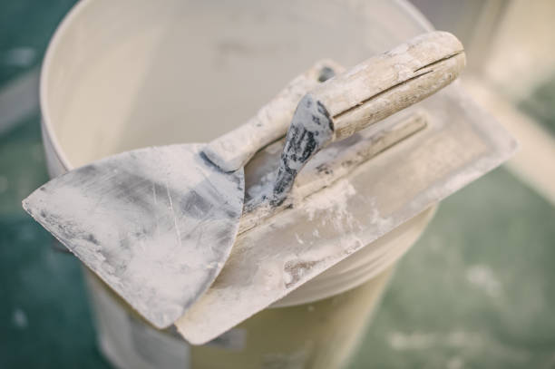 Best Mold Documentation for Insurance Claims  in Spencer, WI